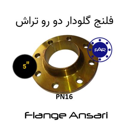 فلنج گلودار PN16 سایز 5